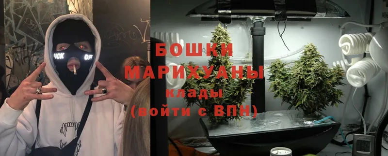 MEGA ССЫЛКА  сколько стоит  Кадников  Бошки Шишки Ganja 