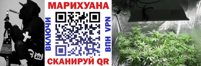 Шишки марихуана OG Kush  Кадников 